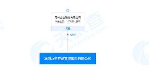 每日新注冊公司精選 | 2019年11月19日 軟件外包服務領域的創新力量