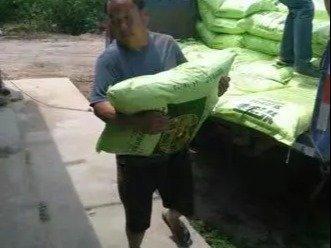 專業(yè)人工搬運(yùn)服務(wù) 安全高效，全面保障